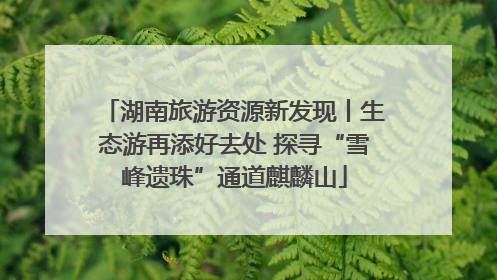 湖南旅游资源新发现丨生态游再添好去处 探寻“雪峰遗珠”通道麒麟山
