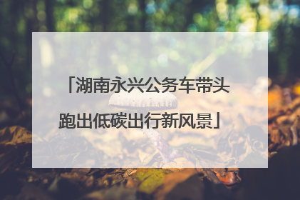 湖南永兴公务车带头跑出低碳出行新风景