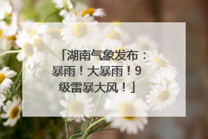 湖南气象发布：暴雨！大暴雨！9级雷暴大风！