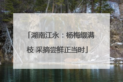 湖南江永：杨梅缀满枝 采摘尝鲜正当时