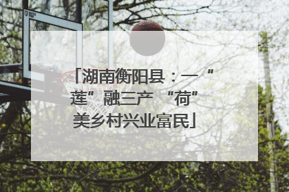 湖南衡阳县：一“莲”融三产 “荷”美乡村兴业富民