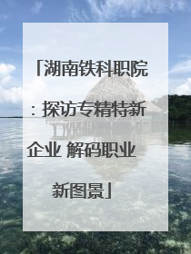 湖南铁科职院：探访专精特新企业 解码职业新图景
