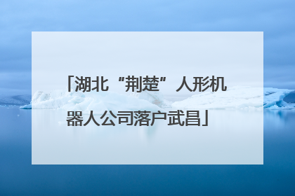 湖北“荆楚”人形机器人公司落户武昌