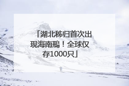 湖北秭归首次出现海南鳽！全球仅存1000只