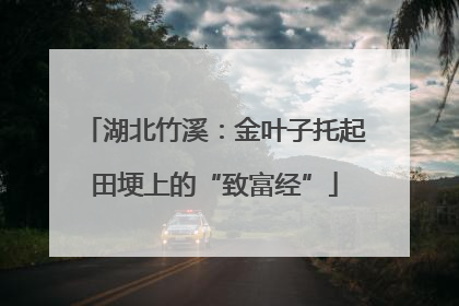 湖北竹溪：金叶子托起田埂上的“致富经”