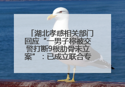 湖北孝感相关部门回应“一男子称被交警打断9根肋骨未立案”：已成立联合专班开展工作