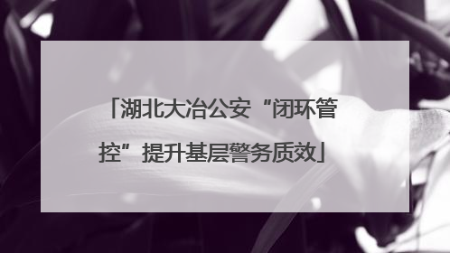 湖北大冶公安“闭环管控”提升基层警务质效