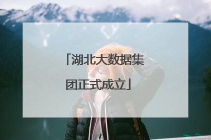 湖北大数据集团正式成立