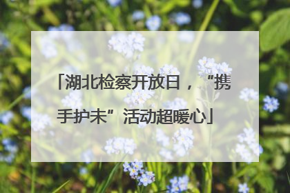 湖北检察开放日，“携手护未”活动超暖心