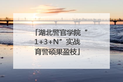 湖北警官学院“1+3+N”实战育警硕果盈枝