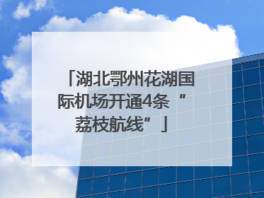 湖北鄂州花湖国际机场开通4条“荔枝航线”
