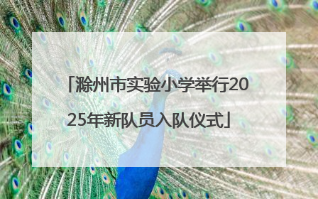滁州市实验小学举行2025年新队员入队仪式