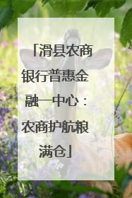 滑县农商银行普惠金融一中心：农商护航粮满仓