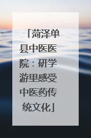 菏泽单县中医医院：研学游里感受中医药传统文化
