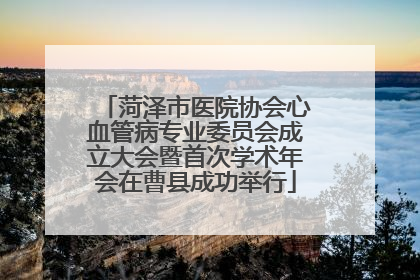菏泽市医院协会心血管病专业委员会成立大会暨首次学术年会在曹县成功举行