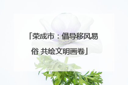 荣成市：倡导移风易俗 共绘文明画卷