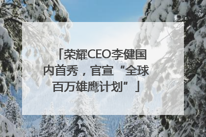 荣耀CEO李健国内首秀，官宣“全球百万雄鹰计划”