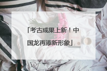 考古成果上新！中国龙再添新形象