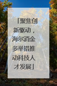 聚焦创新驱动，海尔消金多举措推动科技人才发展