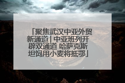 聚焦武汉中亚外贸新通道│中亚班列开辟双通道 哈萨克斯坦饲用小麦将抵鄂