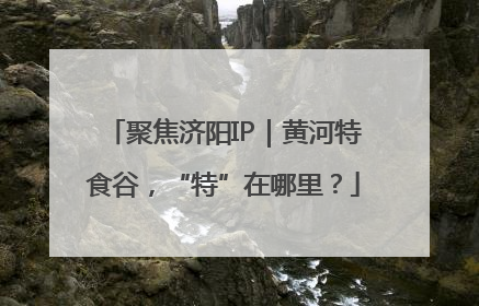 聚焦济阳IP｜黄河特食谷，“特”在哪里？