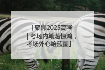 聚焦2025高考｜考场内笔落惊鸿，考场外心绘蓝图