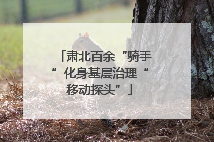 肃北百余“骑手”化身基层治理“移动探头”