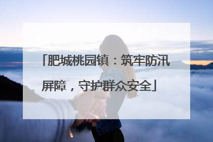 肥城桃园镇：筑牢防汛屏障，守护群众安全