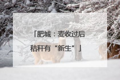 肥城：麦收过后秸秆有“新生”