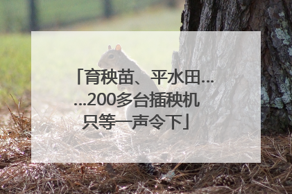 育秧苗、平水田……200多台插秧机只等一声令下