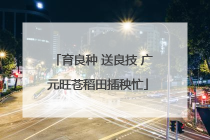 育良种 送良技 广元旺苍稻田插秧忙