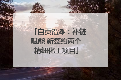 自贡沿滩：补链赋能 新签约两个精细化工项目
