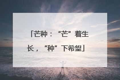芒种：“芒”着生长，“种”下希望