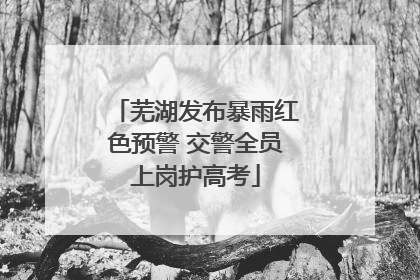 芜湖发布暴雨红色预警 交警全员上岗护高考