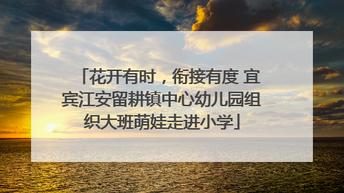 花开有时，衔接有度 宜宾江安留耕镇中心幼儿园组织大班萌娃走进小学