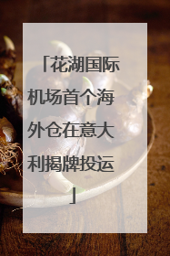 花湖国际机场首个海外仓在意大利揭牌投运