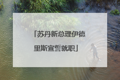 苏丹新总理伊德里斯宣誓就职