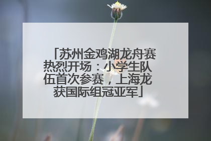 苏州金鸡湖龙舟赛热烈开场：小学生队伍首次参赛，上海龙获国际组冠亚军