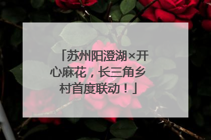 苏州阳澄湖×开心麻花，长三角乡村首度联动！