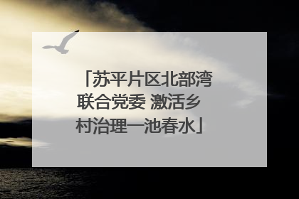 苏平片区北部湾联合党委 激活乡村治理一池春水