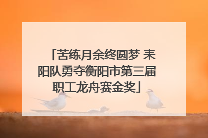苦练月余终圆梦 耒阳队勇夺衡阳市第三届职工龙舟赛金奖