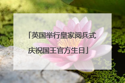 英国举行皇家阅兵式庆祝国王官方生日