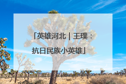 英雄河北｜王璞：抗日民族小英雄