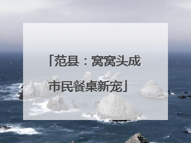 范县：窝窝头成市民餐桌新宠