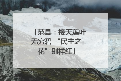 范县：接天莲叶无穷碧 “民主之花”别样红