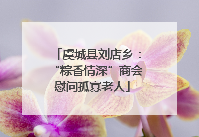 虞城县刘店乡：“粽香情深”商会慰问孤寡老人