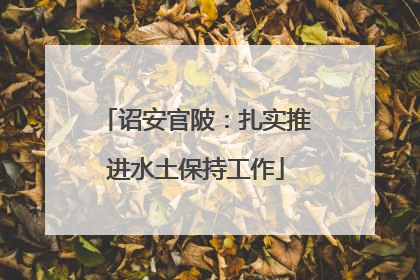 诏安官陂：扎实推进水土保持工作