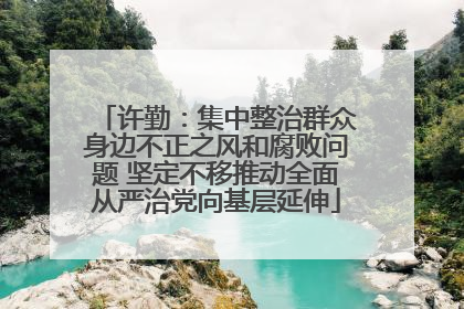 许勤：集中整治群众身边不正之风和腐败问题 坚定不移推动全面从严治党向基层延伸
