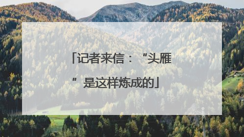 记者来信：“头雁”是这样炼成的