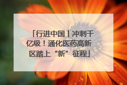行进中国丨冲刺千亿级！通化医药高新区踏上“新”征程